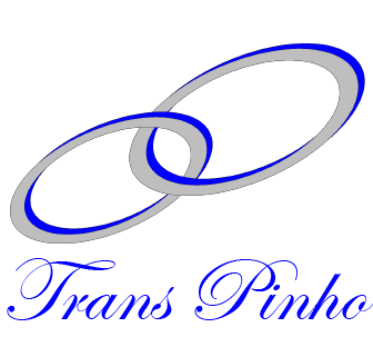 Transpinho Logo